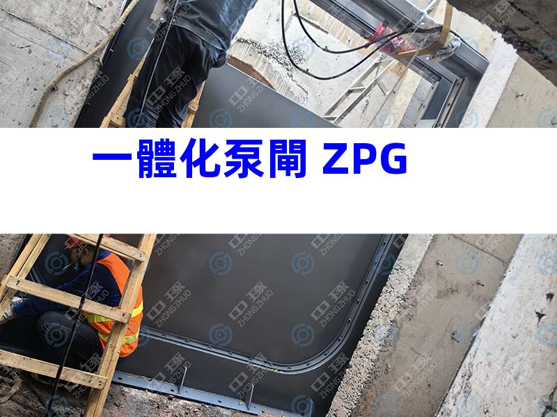 一體化泵閘 ZPG